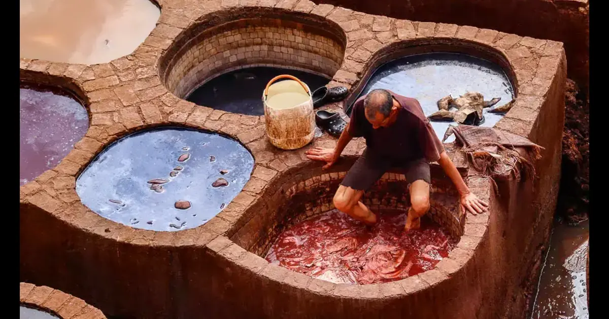 Panoramic view of Chouara tanneries in Fes, colored circular basins (yellow, red, brown, white) with workers, surrounding traditional architecture 